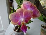    
: DSC02215.jpg
: 30
:	83.5 
ID:	4211843