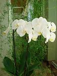     
: DSC04221.jpg
: 26
:	105.6 
ID:	4213568