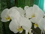     
: DSC04224.jpg
: 18
:	68.7 
ID:	4213569