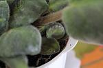     
: IMG_7702.JPG
: 40
:	287.1 
ID:	4216010