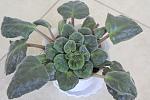     
: IMG_7694.jpg
: 48
:	73.2 
ID:	4216013