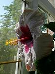     
: beau vie 020512_2.JPG
: 68
:	296.9 
ID:	4216038