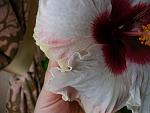     
: beau vie 020512_1.jpg
: 27
:	49.1 
ID:	4216039