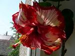     
: brenda miller 020512_1.jpg
: 31
:	52.5 
ID:	4216040