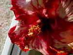     
: brenda miller 020512_2.JPG
: 24
:	289.2 
ID:	4216042