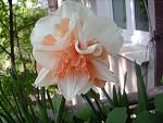     
: IMG_0003.jpg
: 6
:	103.1 
ID:	4216084