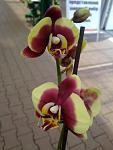     
: 02052012803.jpg
: 28
:	58.7 
ID:	4218201