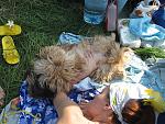     
: IMG_5807.jpg
: 28
:	207.1 
ID:	4218826