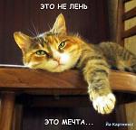     
: лень.jpg
: 8
:	44.5 
ID:	4222024