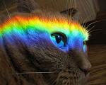     
: 8GOTAX_ogLY.jpg
: 7
:	52.6 
ID:	4222499