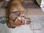     
: DSCN1141.JPG
: 25
:	72.9 
ID:	4224131