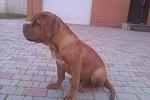     
: IMAG0209.jpg
: 29
:	100.8 
ID:	4224873