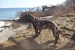     
: DSC08676.JPG
: 21
:	56.2 
ID:	4225394