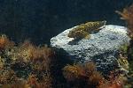     
: IMG_4366w.jpg
: 75
:	286.8 
ID:	4228928