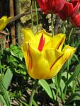     
: IMG_1081.jpg
: 7
:	50.6 
ID:	4230748