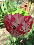    
: IMG_1082.jpg
: 8
:	44.0 
ID:	4230752