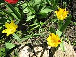     
: IMG_1080.jpg
: 8
:	81.9 
ID:	4230753