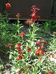    
: IMG_1089.jpg
: 12
:	73.6 
ID:	4230767