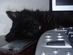     
: P4250542.jpg
: 15
:	79.4 
ID:	4232901