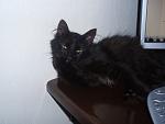     
: P4250530.jpg
: 18
:	92.9 
ID:	4232905