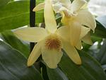     
: 5.04.2012 046.JPG
: 26
:	177.8 
ID:	4233033