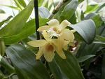     
: 5.04.2012 044.JPG
: 21
:	177.4 
ID:	4233034