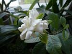     
: 5.04.2012 041.JPG
: 24
:	186.4 
ID:	4233035