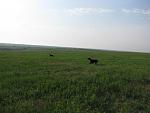     
: IMG_1659.jpg
: 13
:	131.8 
ID:	4233808
