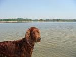     
: DSC01592.jpg
: 14
:	109.1 
ID:	4233819
