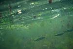     
: IMG_4749w.jpg
: 79
:	283.8 
ID:	4234600