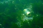     
: _MG_5443w.jpg
: 83
:	288.1 
ID:	4234601