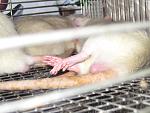     
: IMG_2183.jpg
: 29
:	117.6 
ID:	4234897
