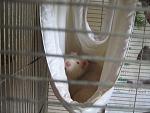     
: IMG_2099.jpg
: 34
:	108.8 
ID:	4234898