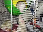     
: IMG_2166.jpg
: 34
:	179.4 
ID:	4234899