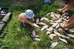     
: DSC_3889.jpg
: 27
:	296.3 
ID:	4235018