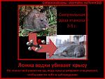     
: sobreo-50.jpg
: 1
:	49.1 
ID:	4237379