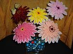     
: DSC02509.jpg
: 17
:	221.5 
ID:	4239723