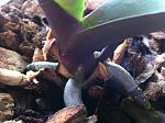     
: IMG_0230.jpg
: 45
:	168.1 
ID:	4240685