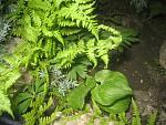     
: IMG_0029.jpg
: 11
:	135.7 
ID:	4241558