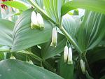     
: IMG_0034.jpg
: 14
:	76.8 
ID:	4241566