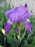     
: IMG_1118.jpg
: 3
:	40.0 
ID:	4242677