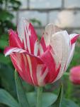     
: IMG_1131.jpg
: 3
:	32.6 
ID:	4242678