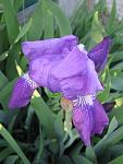     
: IMG_1117.jpg
: 3
:	40.9 
ID:	4242681