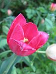     
: IMG_1135.jpg
: 4
:	34.7 
ID:	4242686