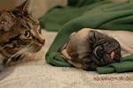     
: y_eb8980fd.jpg
: 44
:	63.2 
ID:	4246442