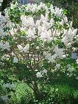     
: DSC04238.jpg
: 13
:	206.2 
ID:	4248622