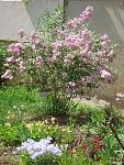     
: DSC04234.jpg
: 14
:	208.8 
ID:	4248623