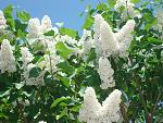     
: DSC04247.jpg
: 7
:	188.3 
ID:	4248630