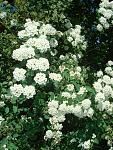     
: DSC04256.jpg
: 8
:	182.3 
ID:	4248632