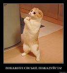     
: v00nn71txk16.jpg
: 14
:	177.7 
ID:	4248696